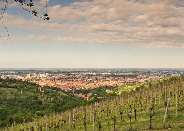 La Ginevra Boutique In *